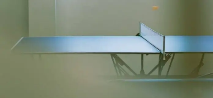 best ping pong table for the money