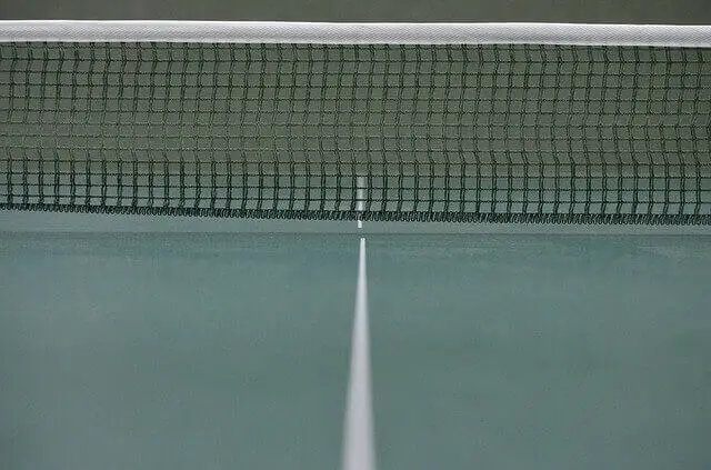best ping pong net