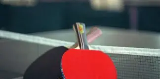 best ping pong paddle under 100