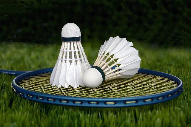 Best Shuttlecocks for Outdoor Badminton