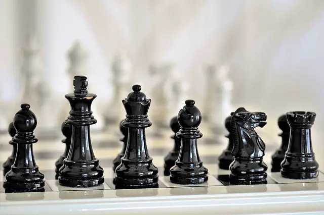 Best Chess Board 